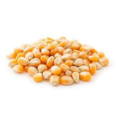 Afiteurope - produits agricoles, le maïs