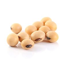 Afiteurope - produits agricoles, le soja