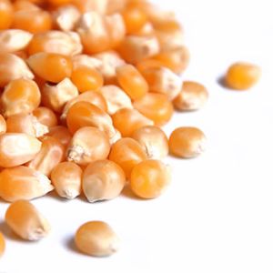 Produits Agricoles